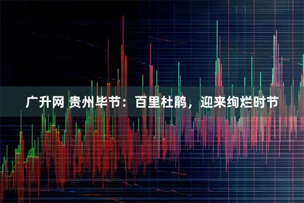 广升网 贵州毕节：百里杜鹃，迎来绚烂时节